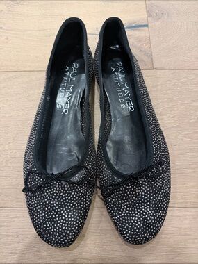 Paul Mayer attitudes sheer crystal ballet flats